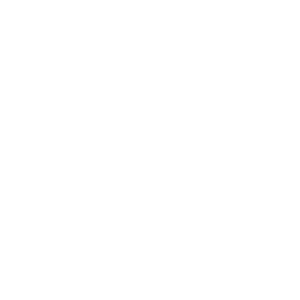 std-art главный логотип белый